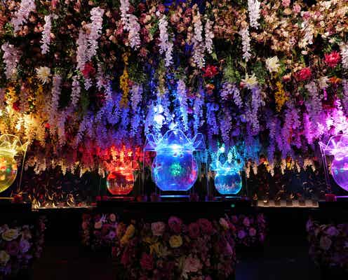 アートアクアリム美術館で特別企画“華映え金魚祭” 夏らしい幻想景色にうっとり
