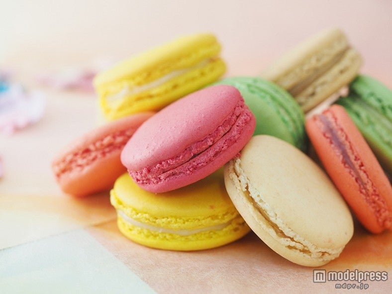 「Cafe de AIKU -Sweets Photo Lovers」作品写真