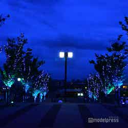 夜はイルミネーション演出でライトアップ(C)モデルプレス