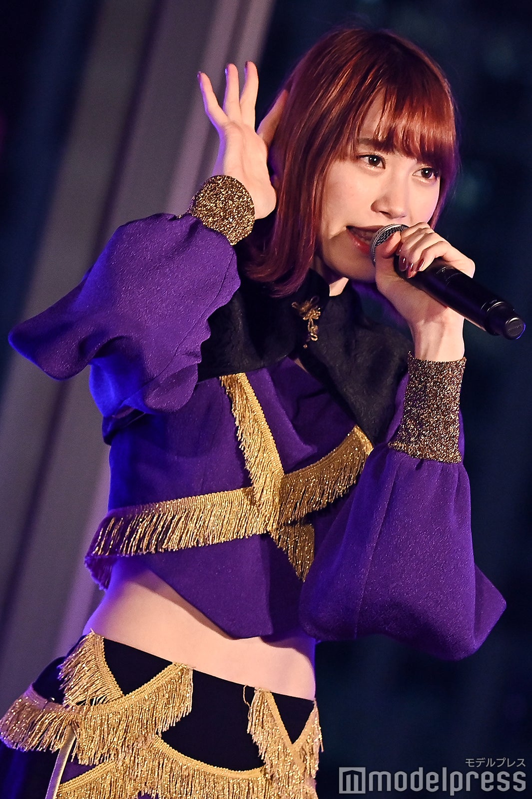 豆柴の大群（C）モデルプレス