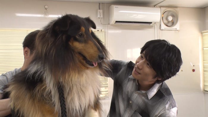 風間俊介 (C)日本テレビ