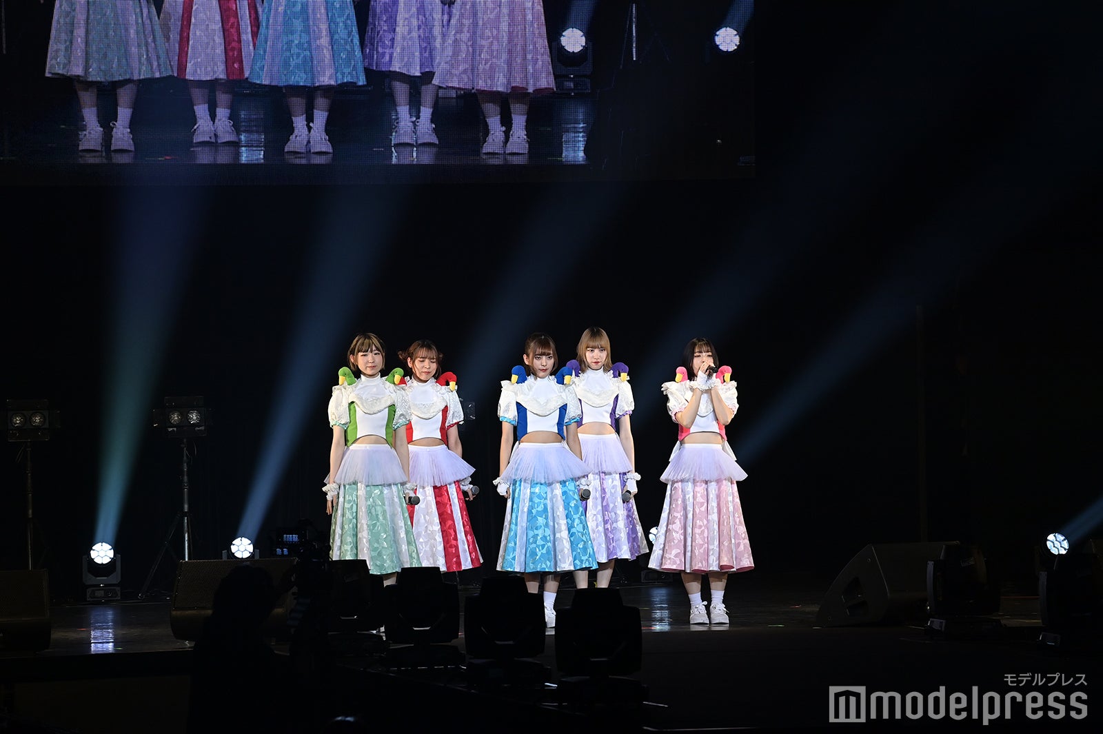 豆柴の大群（C）モデルプレス