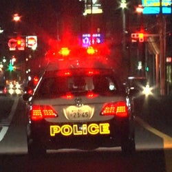仮睡盗、薬物、盗撮犯…身近に起きている犯罪を追う『激録・警察密着24時!!』