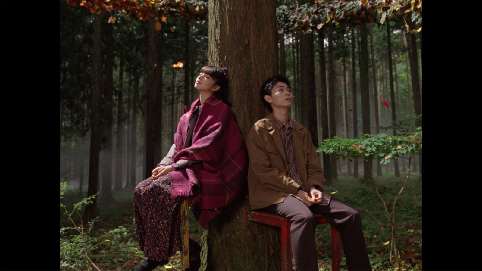 小松菜奈、菅田将暉（提供画像）