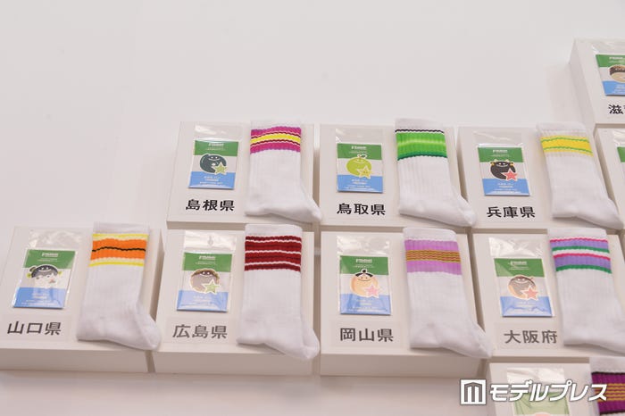 47都道府県別ラインソックス(C)モデルプレス