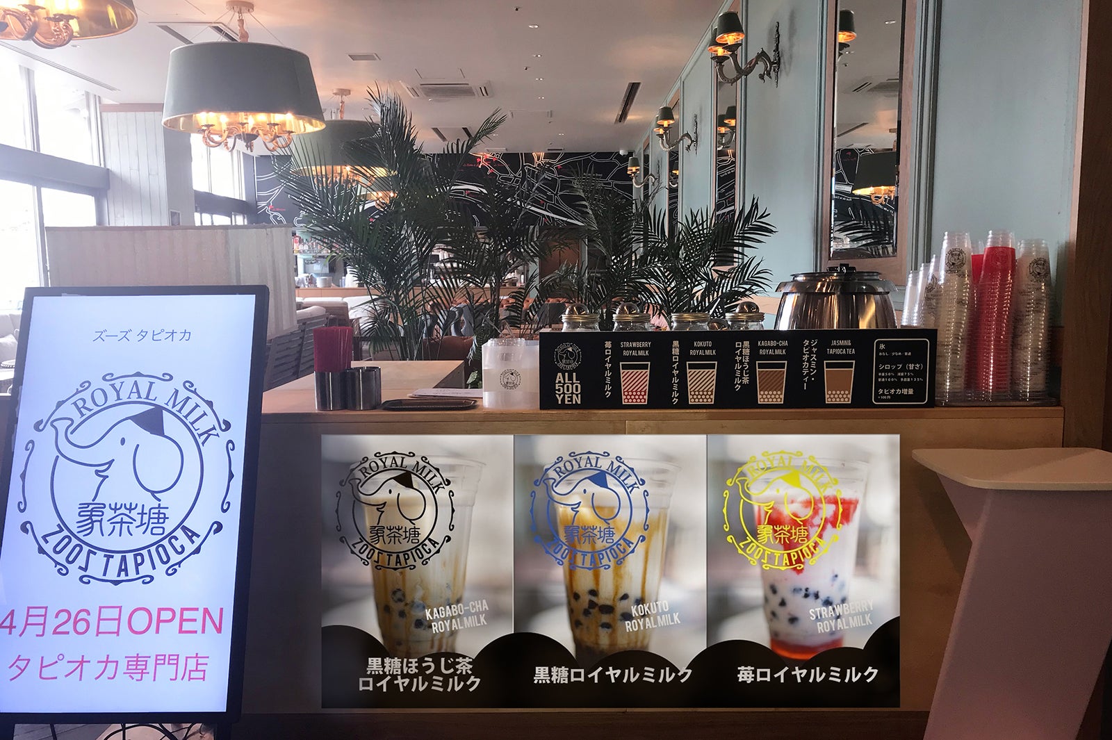 象茶塘 ZOOS TAPIOCA／画像提供：アイエムエムフードサービス