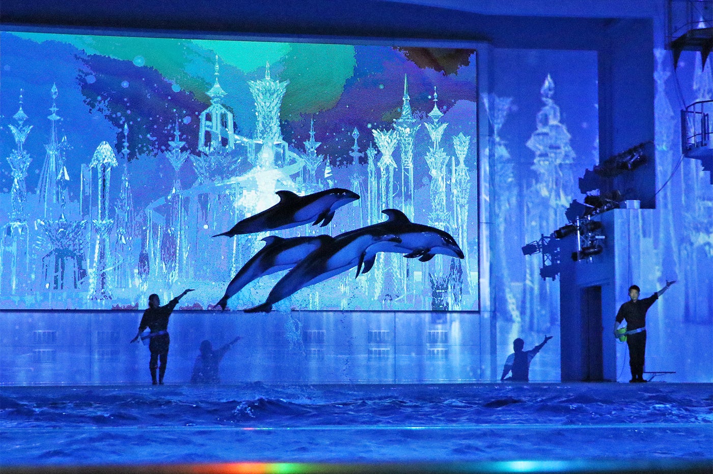 GWの八景島シーパラダイスで色鮮やかなナイトショー　イルカたちが誘う「愛の世界」／青の世界／画像提供：横浜八景島