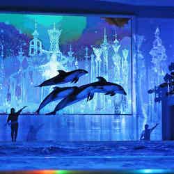 GWの八景島シーパラダイスで色鮮やかなナイトショー イルカたちが誘う「愛の世界」/青の世界/画像提供:横浜八景島
