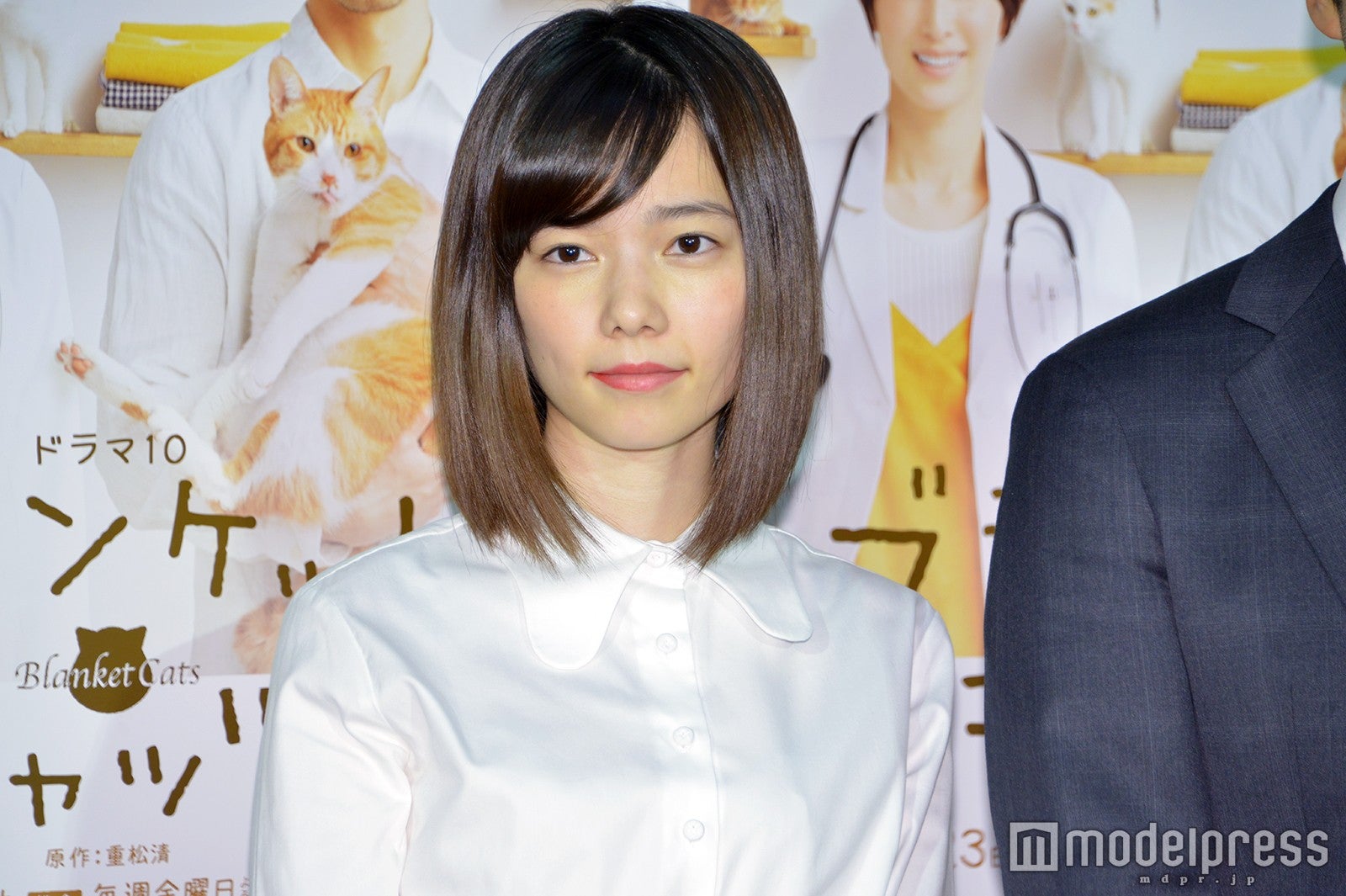 ブランケット・キャッツ　未開封DVD-BOX　西島秀俊　吉瀬美智子　島崎遥香 ブランケット・キャッツ 未開封DVD-BOX 西島秀俊 吉瀬美智子