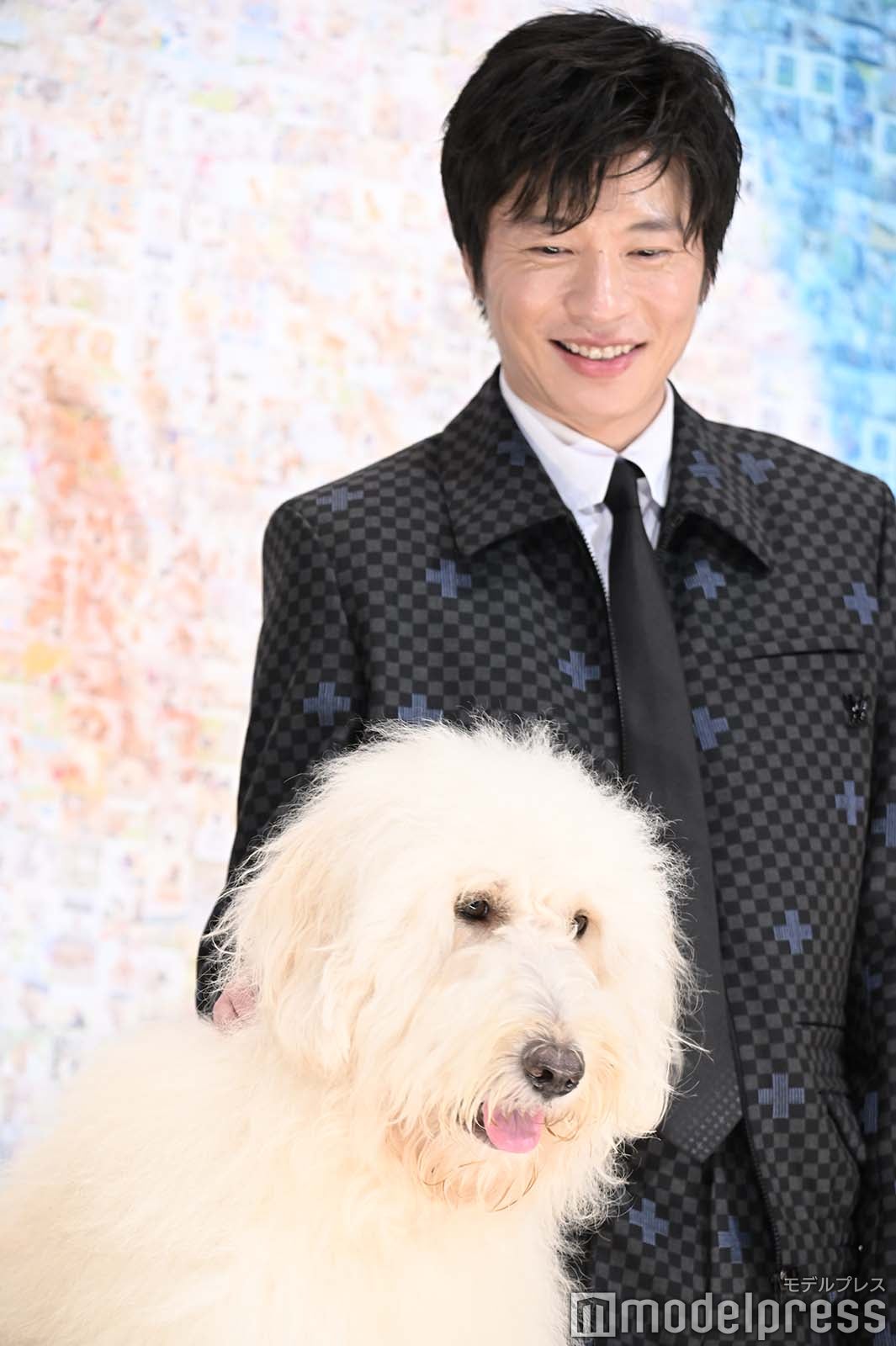 田中圭（C）モデルプレス