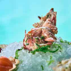 新鮮な魚介類はワインとも好相性(C)モデルプレス