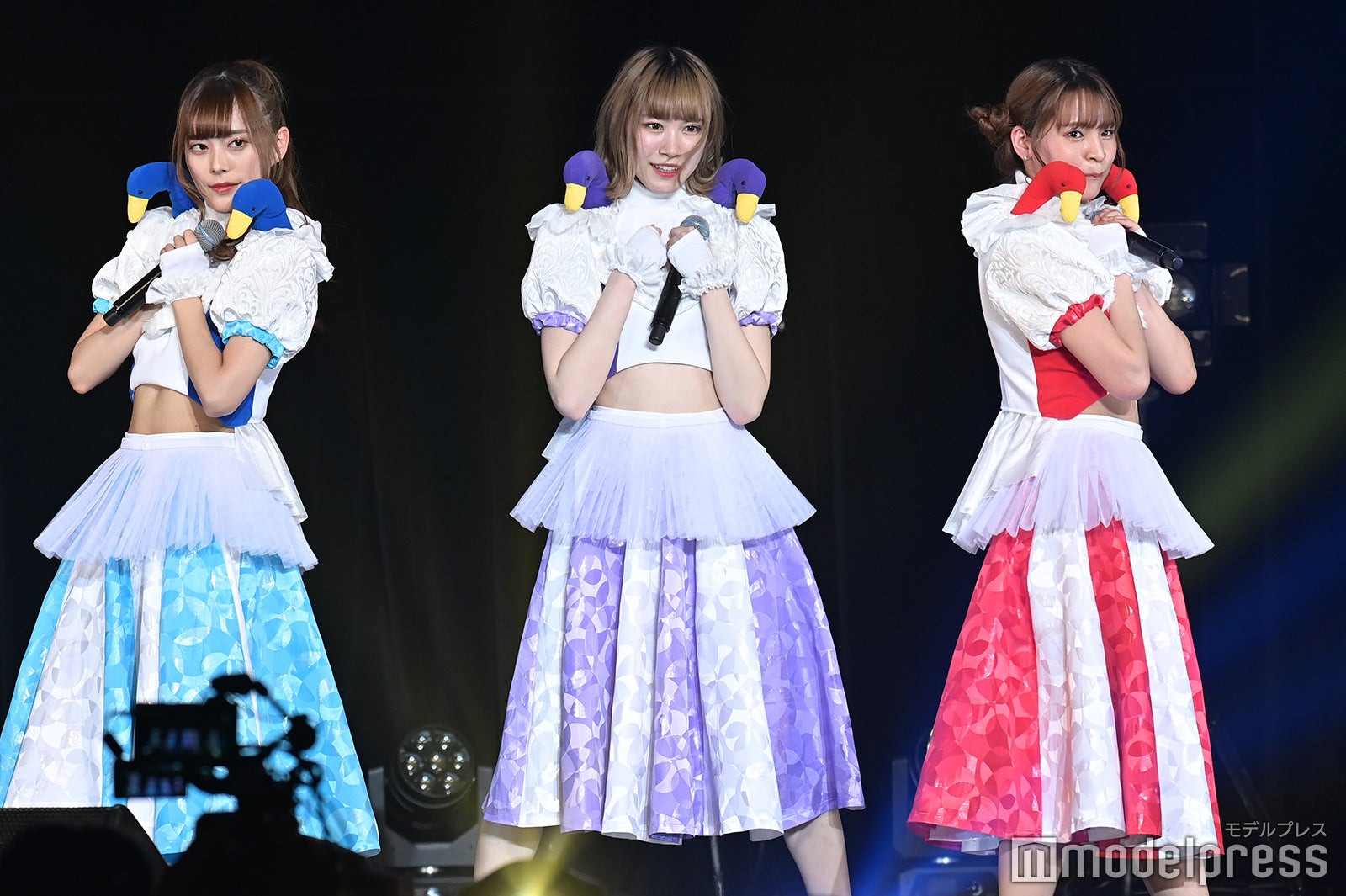 豆柴の大群（C）モデルプレス