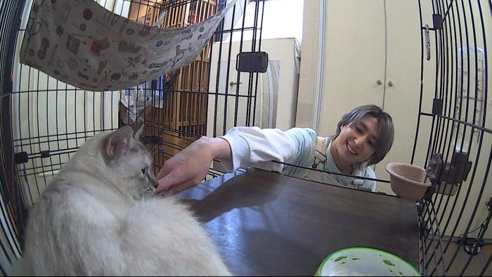 佐久間大介(C)TBS