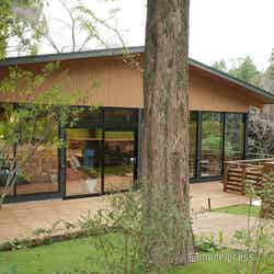 Dear Wan Spa Garden(C)モデルプレス