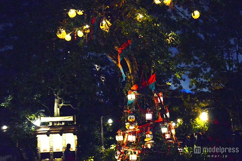 ロストリバーデルタのツリー（夜）