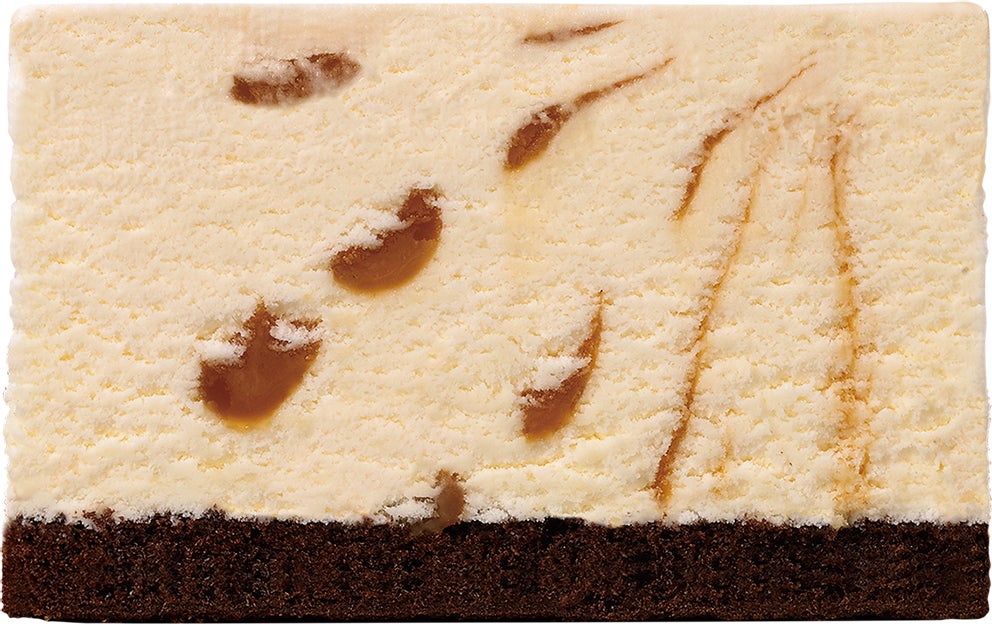 ‘ディズニープリンセス’ パレット6（C）Disney 