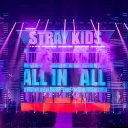 「Stray Kids 5-STAR Dome Tour 2023」より／写真提供：田中聖太郎写真事務所