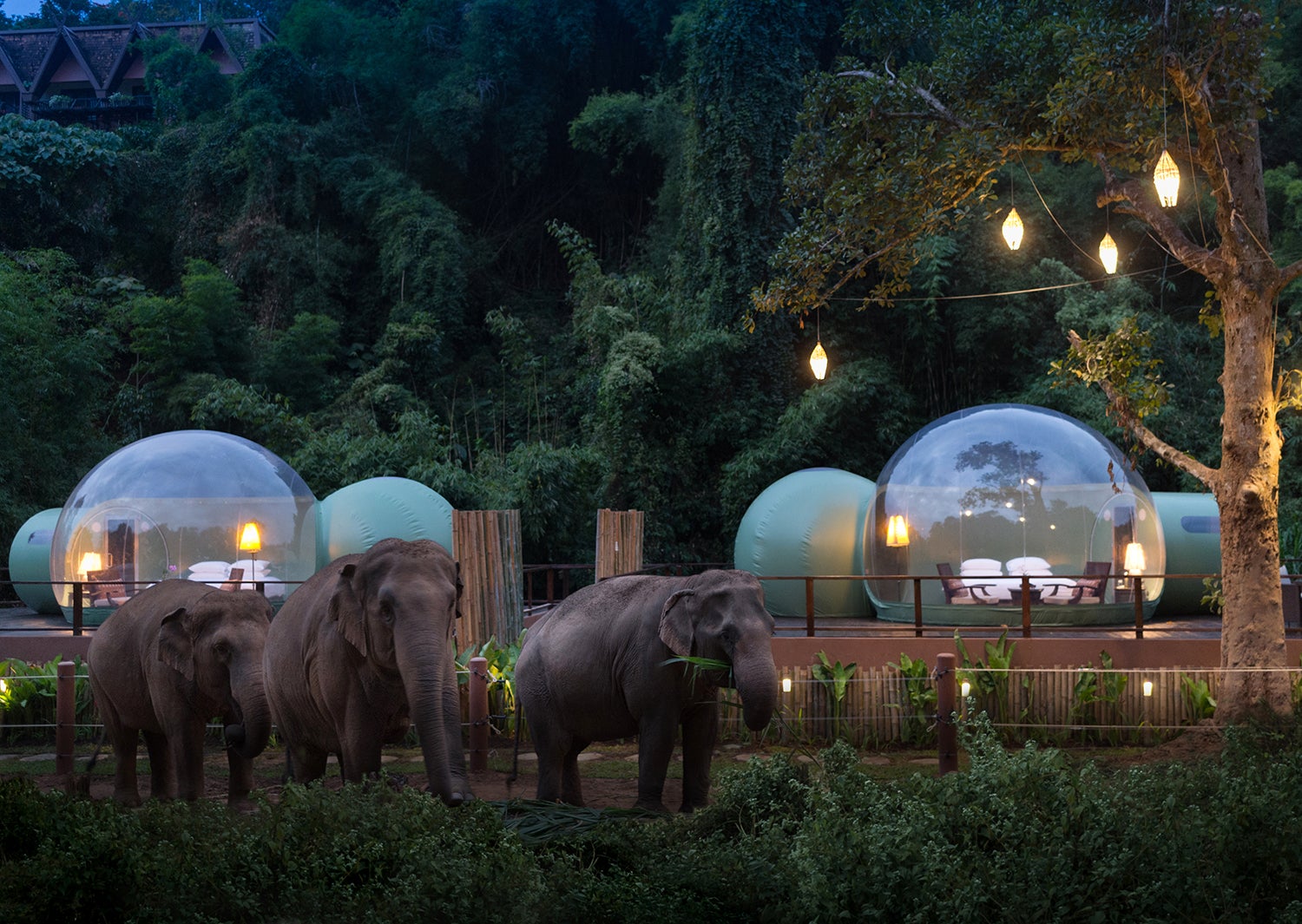 「ジャングルバブル（Jungle Bubble）」／画像提供：Anantara