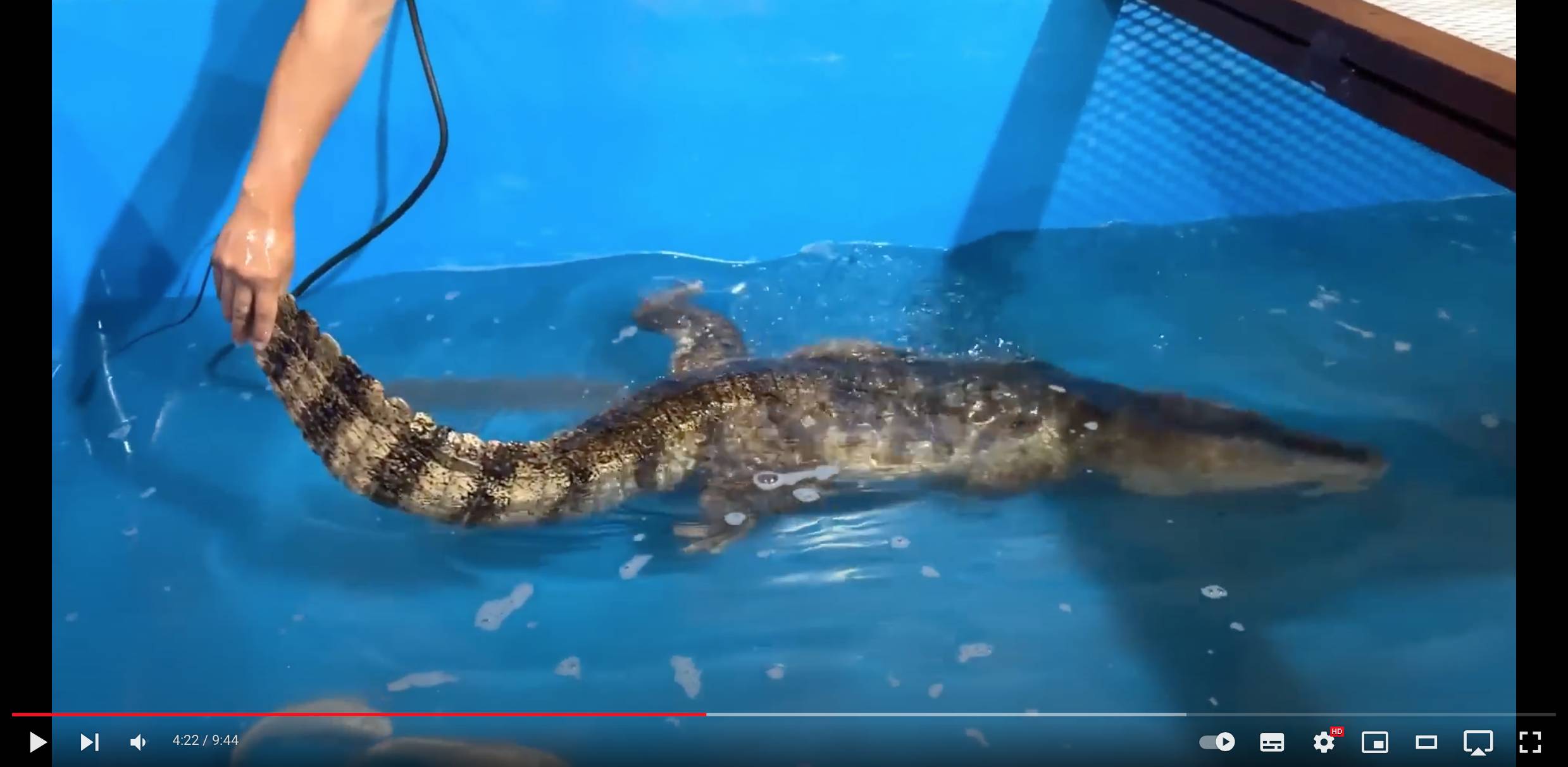 禁断ボーイズ・メサイア、適応障害を告白