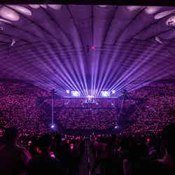 BLACKPINK「BLACKPINK WORLD TOUR［BORN PINK］JAPAN」（提供写真）