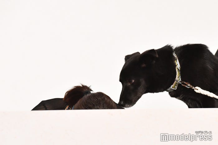 お辞儀する北川景子の頭にキスをするクロ(大吉) (C)モデルプレス