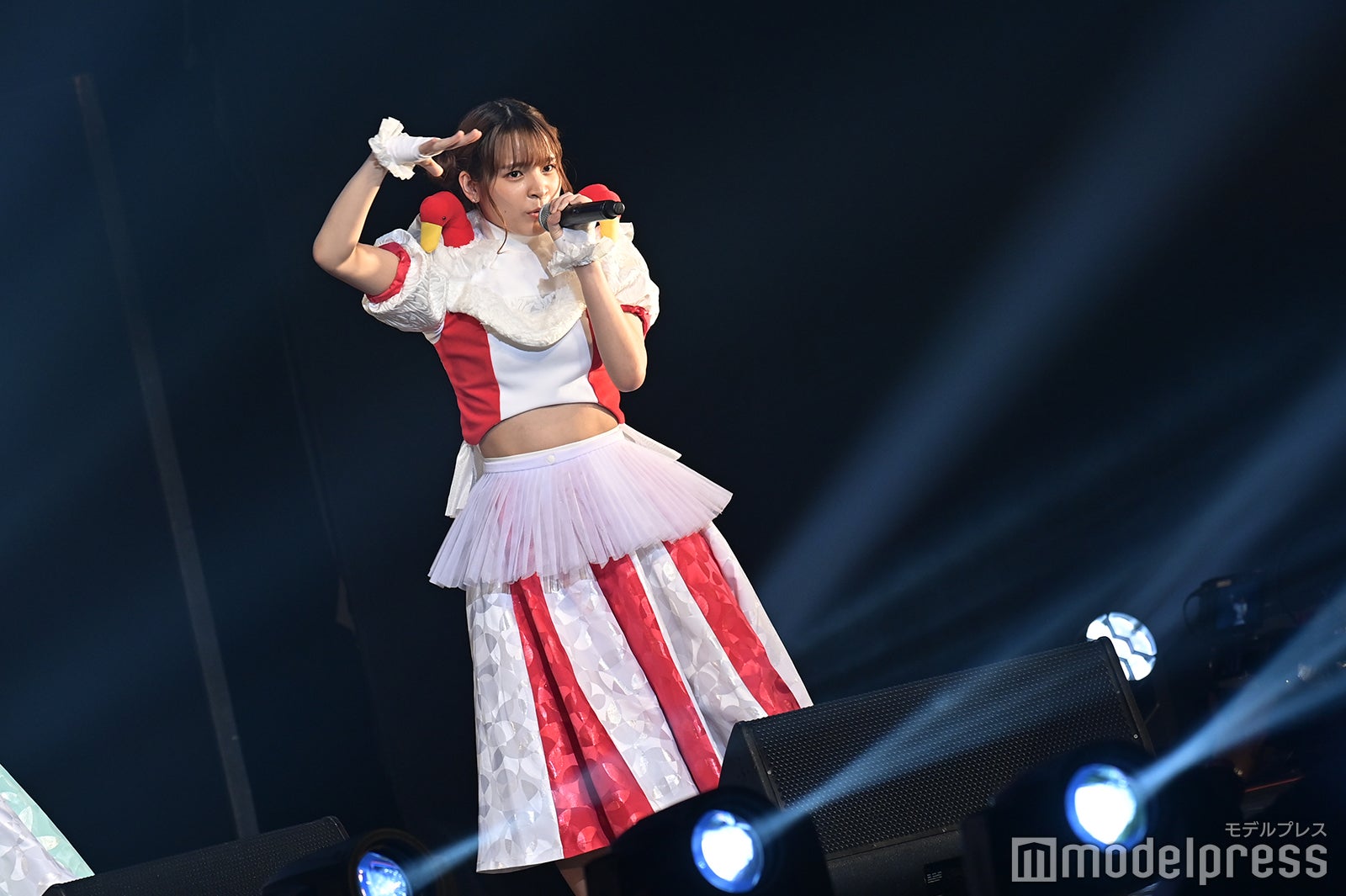 豆柴の大群（C）モデルプレス