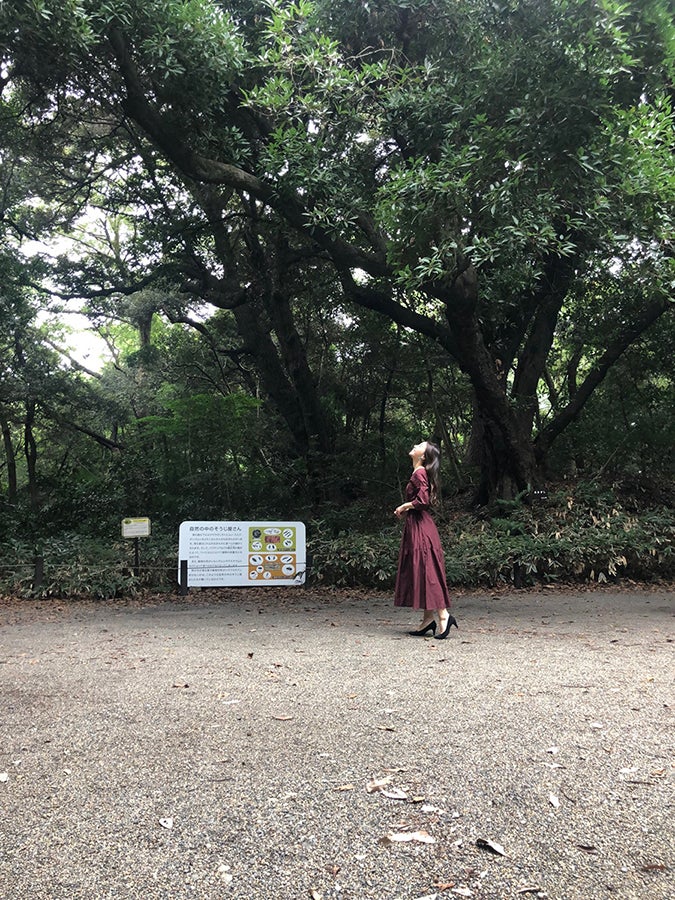 国立科学博物館 附属自然教育園2