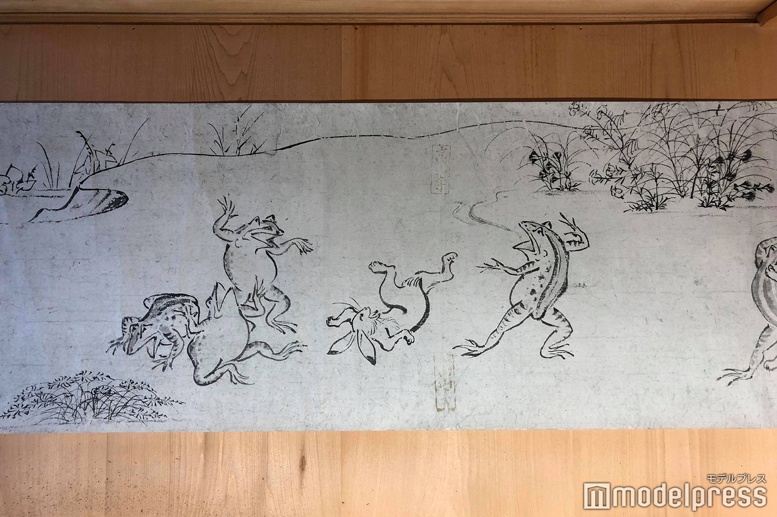 高山寺（C）モデルプレス