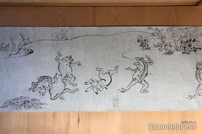 高山寺（C）ビューティーガール