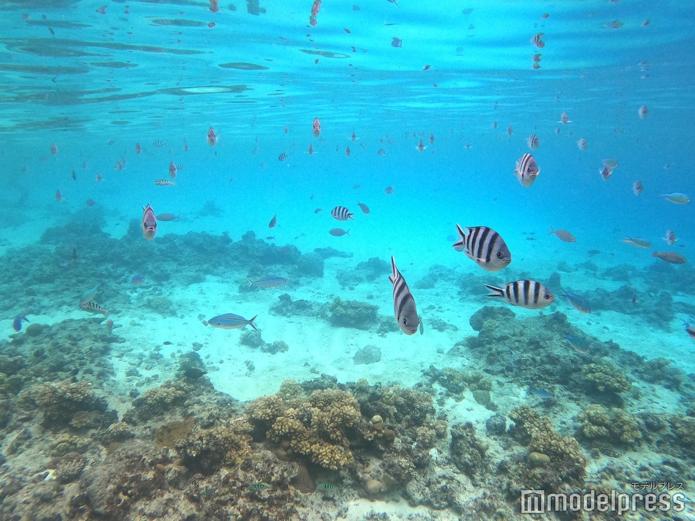 シックスセンシズ フィジー（C）モデルプレス