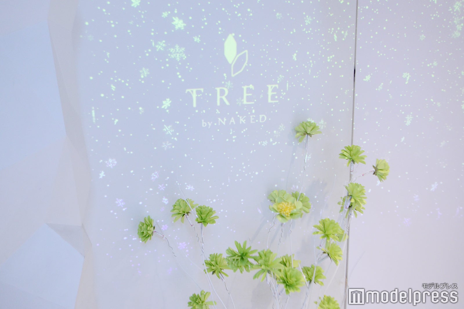 TREE by NAKED yoyogi park（C）モデルプレス