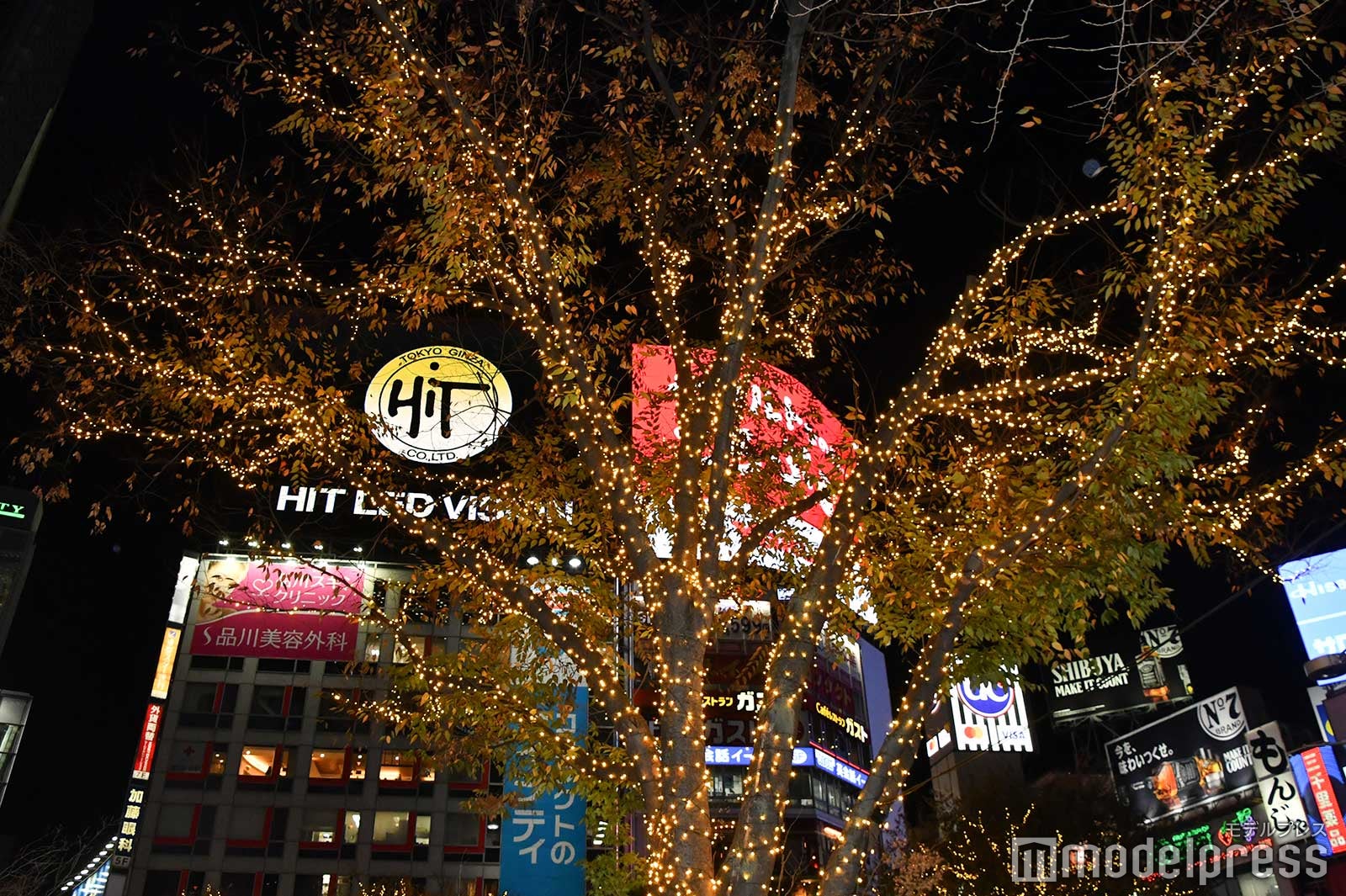「SHIBUYA WINTER ILLUMINATION 2020」 （C）モデルプレス（C）モデルプレス