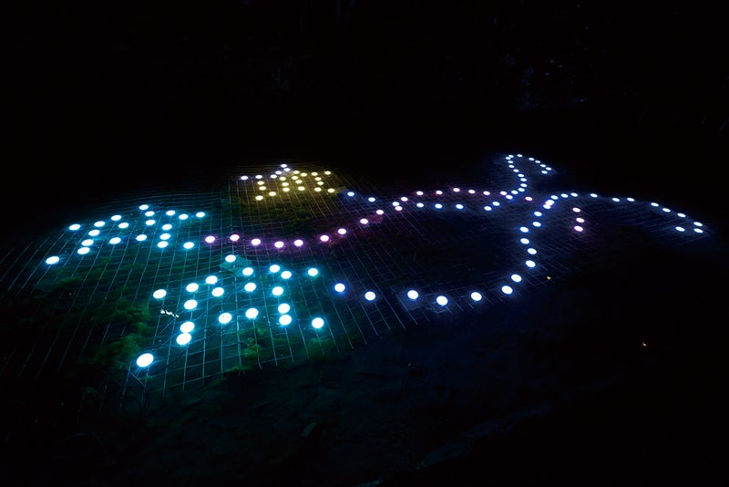 京の七夕／画像提供：京の七夕実行委員会