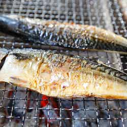 もの凄い鯖を熟成漬け汁に漬け込み/画像提供:TONTON