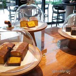 フォーシーズンズホテル大阪(C)モデルプレス