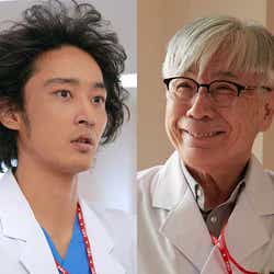 大島優子の画像 写真 ニュース記事一覧 モデルプレス