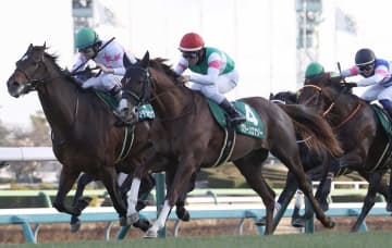 グリーンエナジーは皐月賞への直行を本線に テイエムスティールはチューリップ賞かフィリーズR目指す