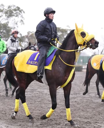 中東情勢悪化の影響でドバイ遠征取りやめ ウインカーネリアンは高松宮記念、ウィルソンテソーロはかしわ記念へ