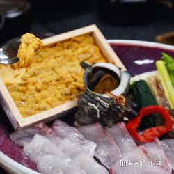 源泉の宿 萩本陣(C)モデルプレス