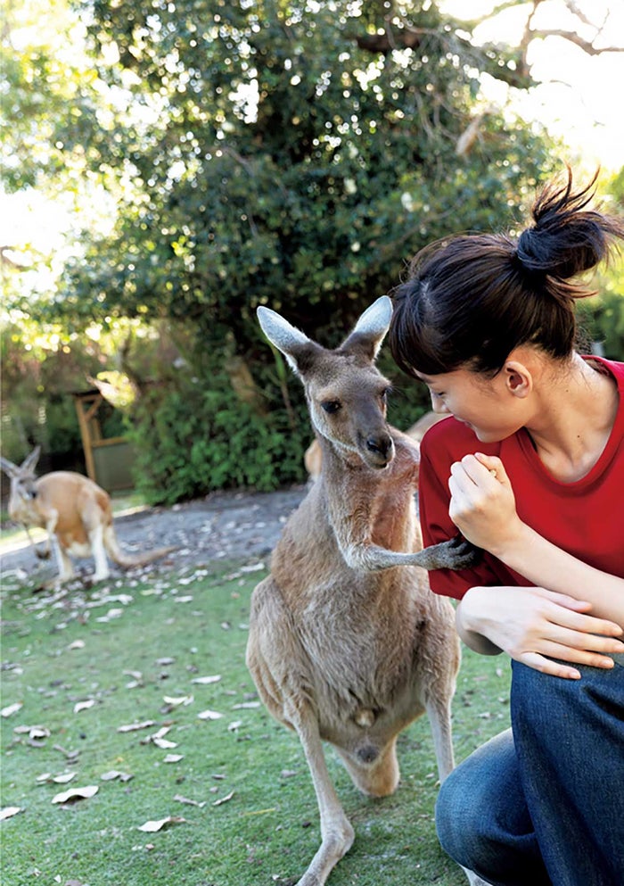 綾瀬はるか オーストラリアで自然体な美しさ 希少な動物たちとの戯れも モデルプレス