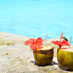 ロブスターピクニック(C)モデルプレス