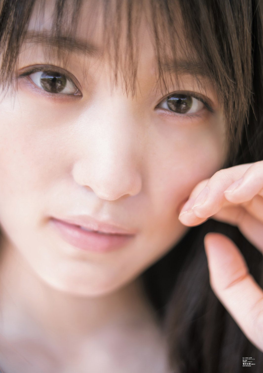 櫻坂46 菅井友香 生写真 ほぼほぼコンプ まとめ売り限定 欅坂46 櫻坂46 生写真 菅井友香 まとめ売り 風に吹かれても