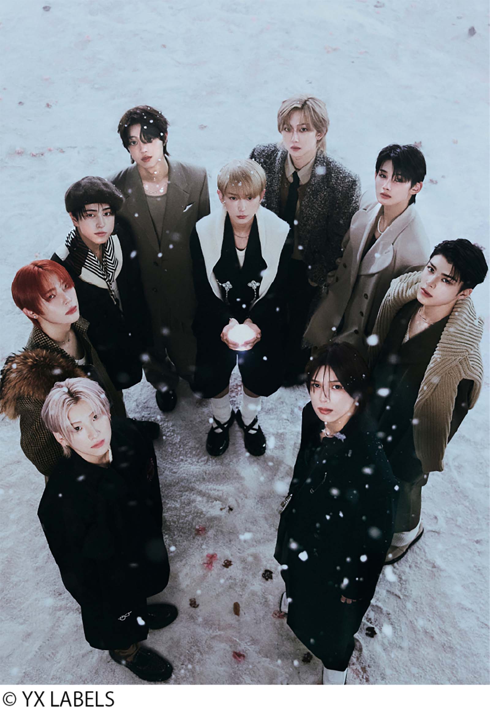 &TEAM（提供写真）