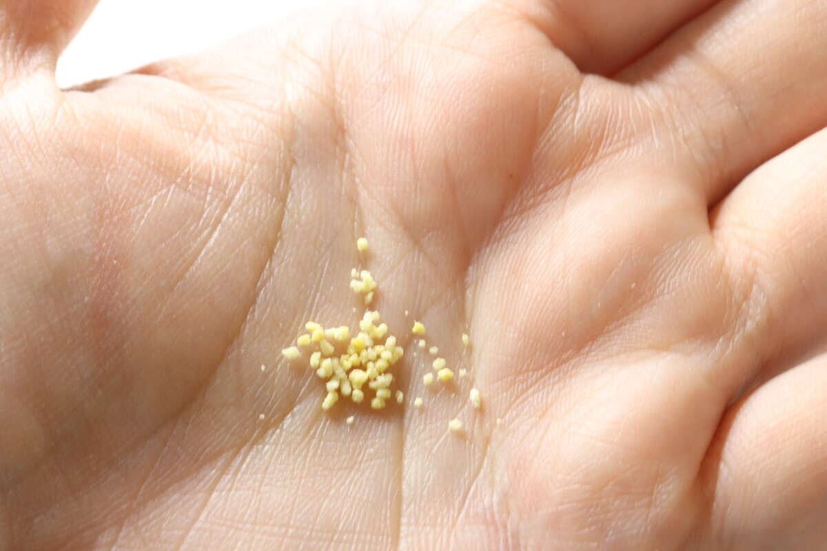 ダイソー　かける生姜