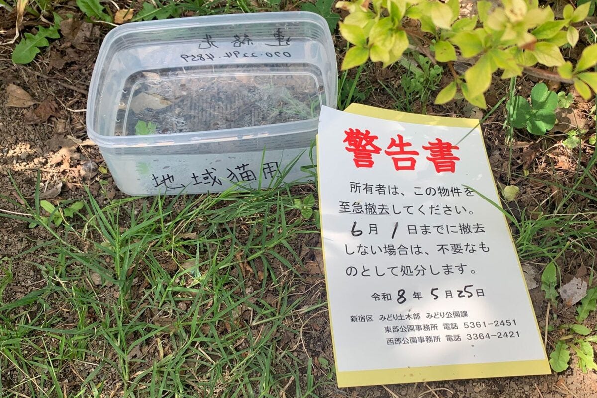 公園に置かれたタッパー