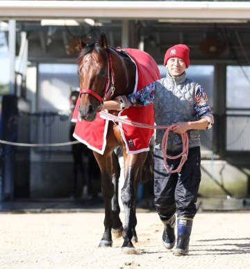 フォーエバーヤングが米エクリプス賞「最優秀古馬ダート牡馬」受賞 年度代表馬はソヴリンティで惜しくも日米W受賞逃す