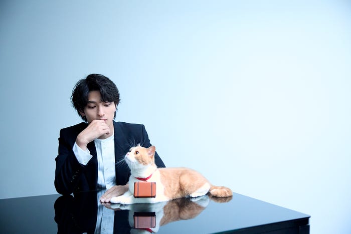 横浜流星&にゃらん(提供写真)