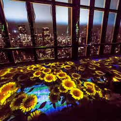 TOKYO TOWER CITY LIGHT FANTASIA ～SUMMER OF JAPAN～／画像提供：東京タワー