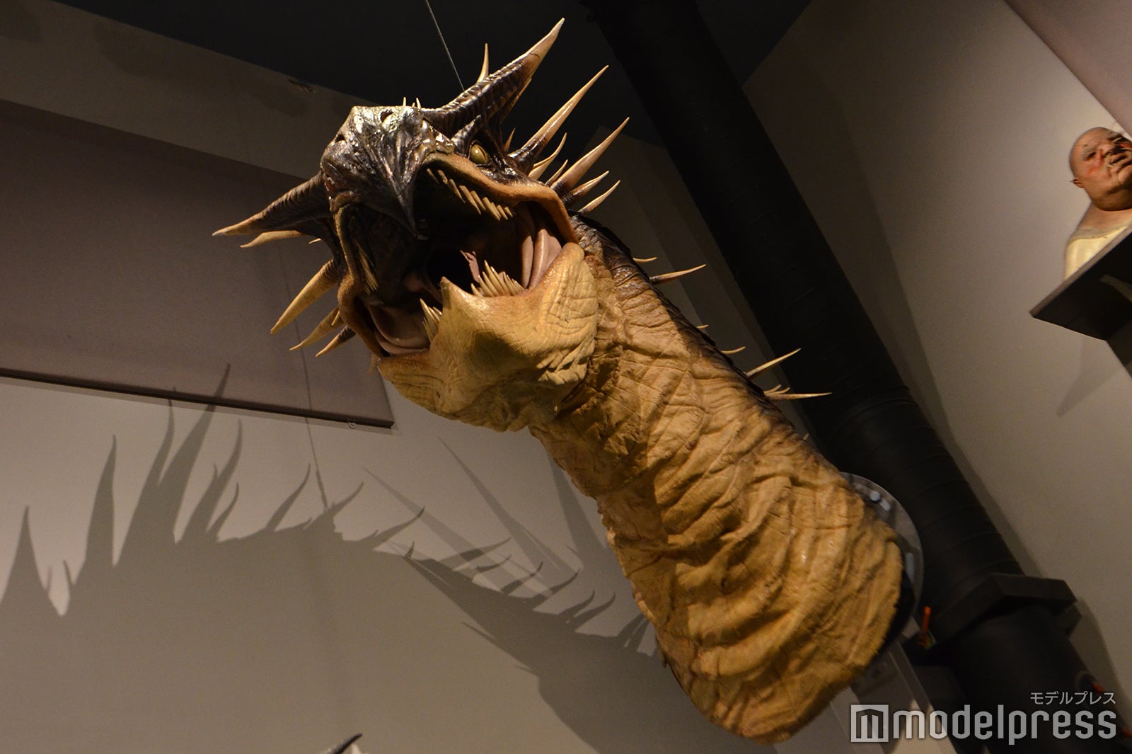 ワーナー ブラザース スタジオツアーロンドン -　メイキング・オブ・ハリー・ポッター（C）モデルプレス Warner Bros. Studio Tour London – The Making of Harry Potter