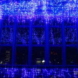 夜空に入り込んだような気分/画像提供:東京タワー